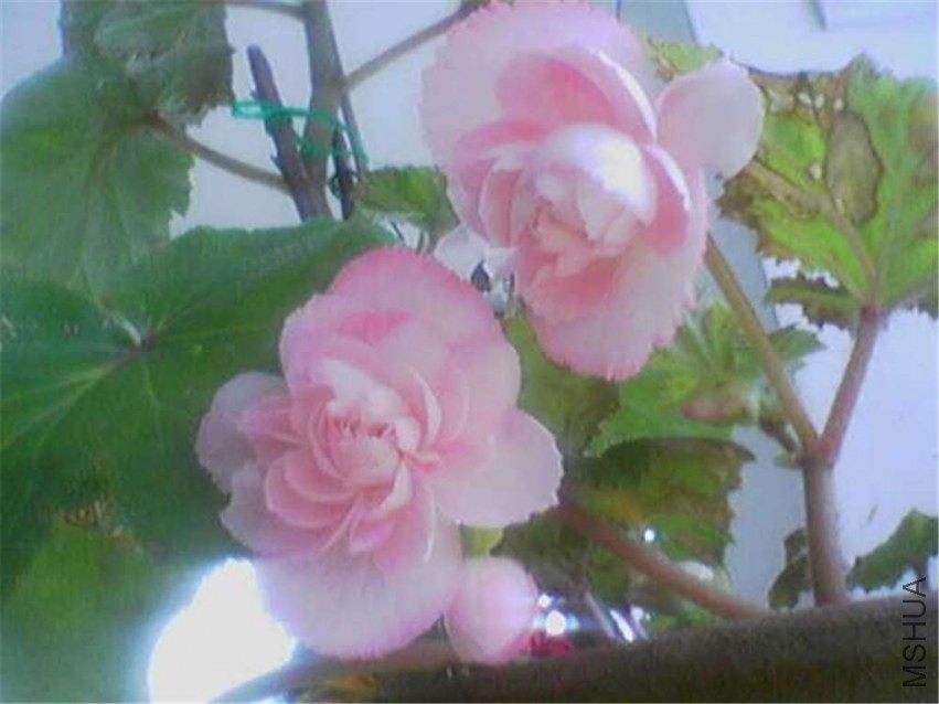 20091008150.jpg