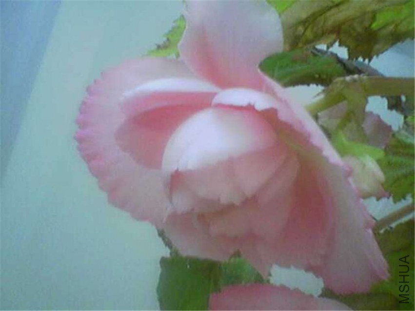 20091008154.jpg