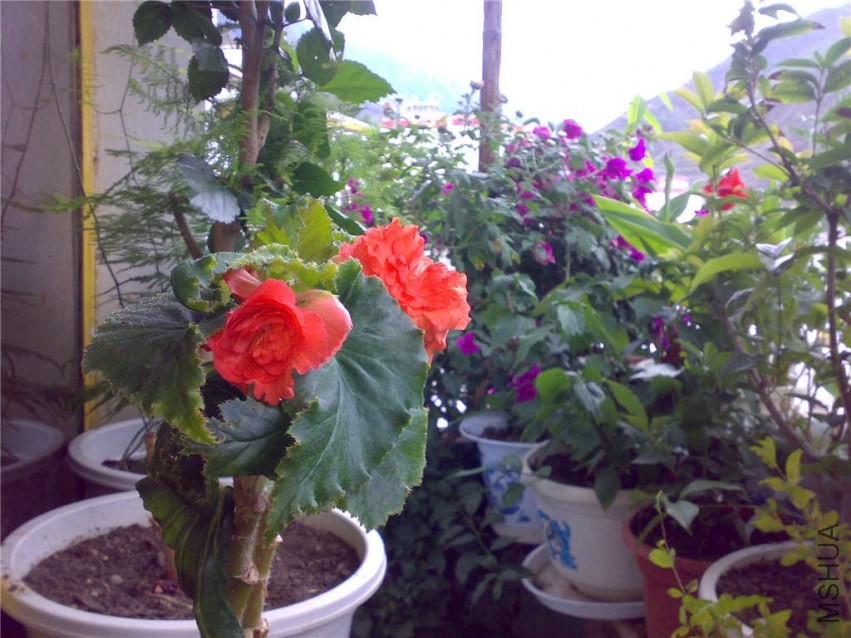 200809141024.jpg