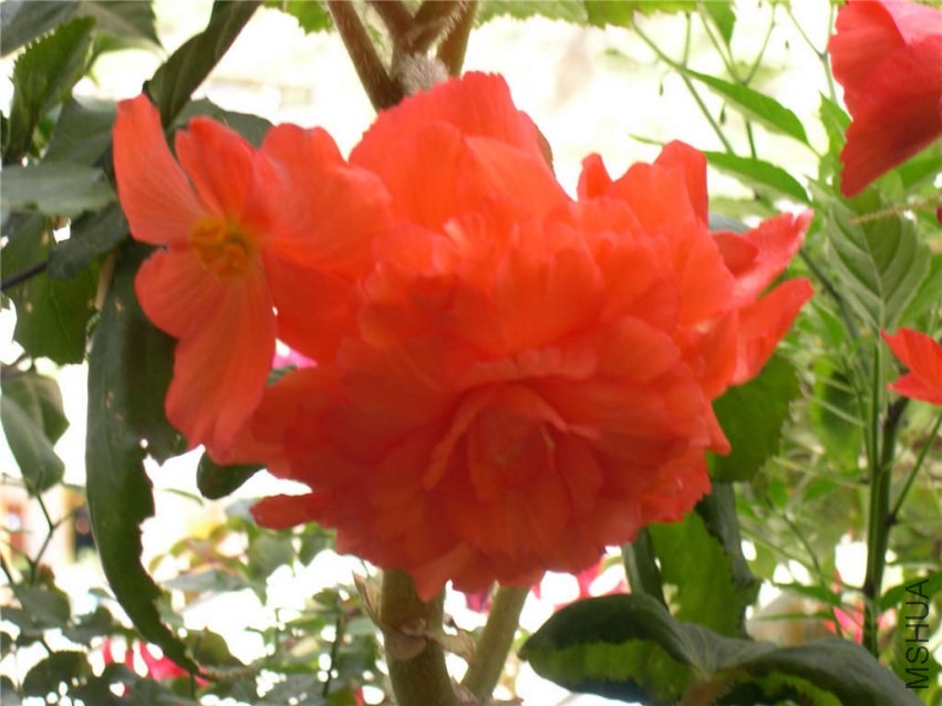 DSCN0355.jpg