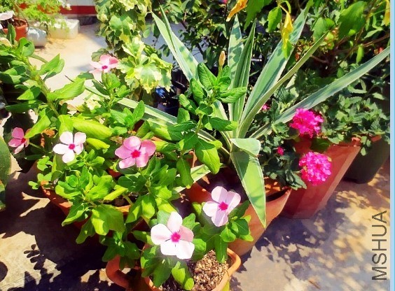 QQ��ͼ20130811152224.jpg