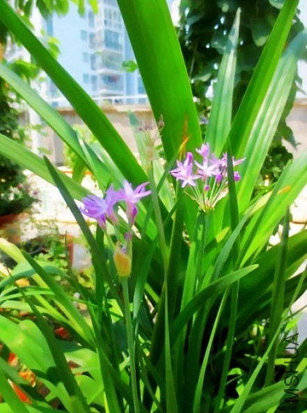 QQ��ͼ20130811152300.jpg
