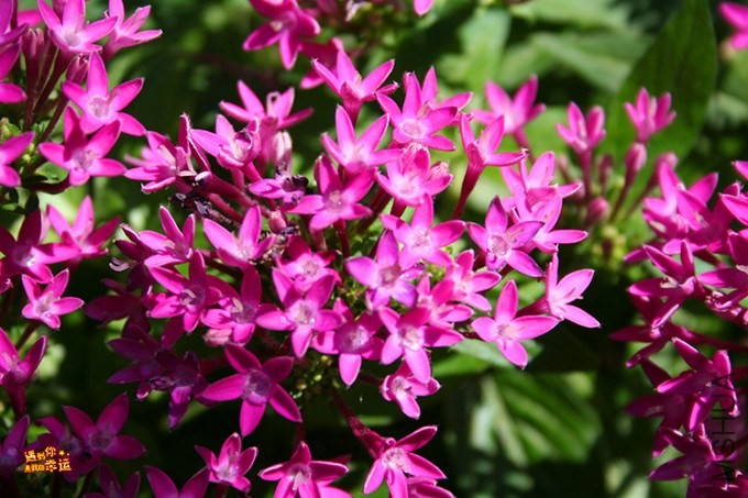 ��Ƭ 021_����.jpg