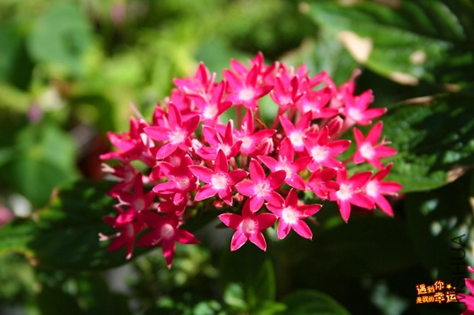 ��Ƭ 023_����.jpg