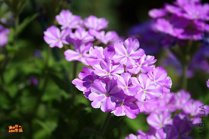 ��Ƭ 019_����.jpg