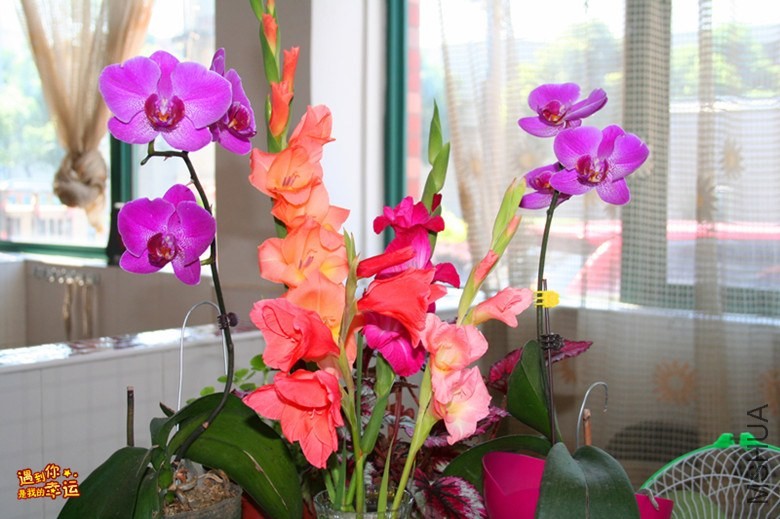 ��Ƭ 025_����.jpg