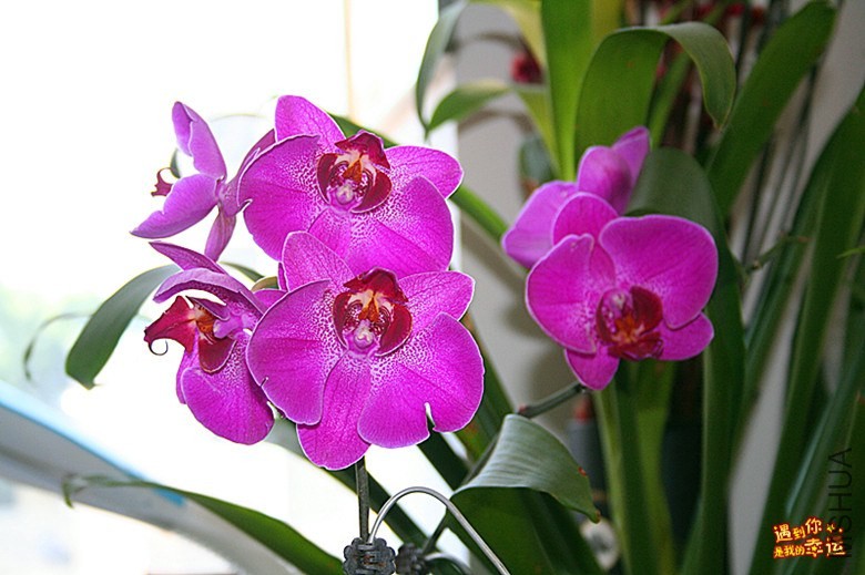 ��Ƭ 027_����.jpg