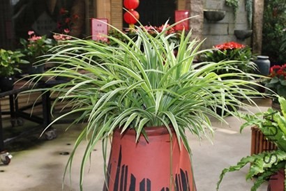 1 (20).jpg
