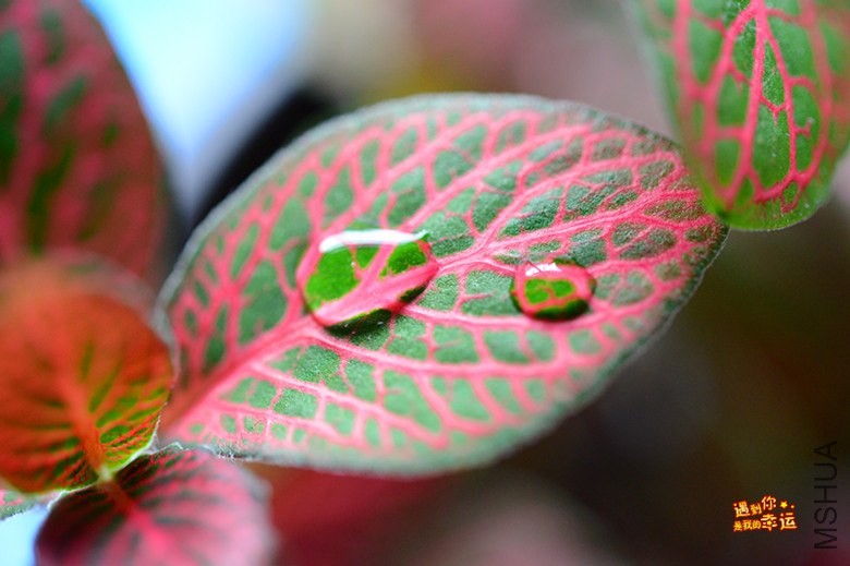 ��Ƭ 025_����.jpg