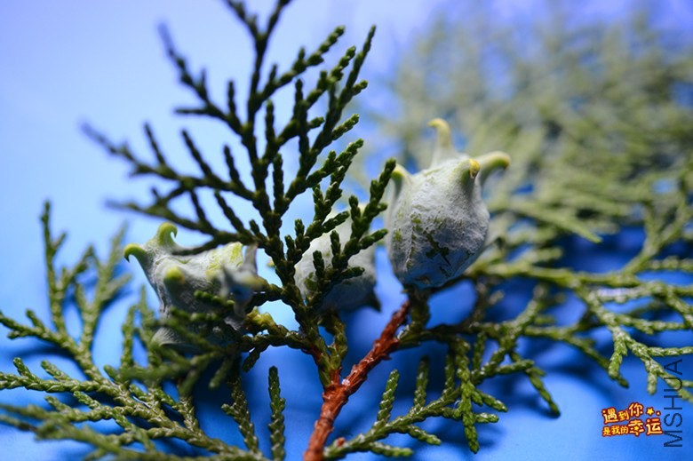 ��Ƭ 028_����.jpg