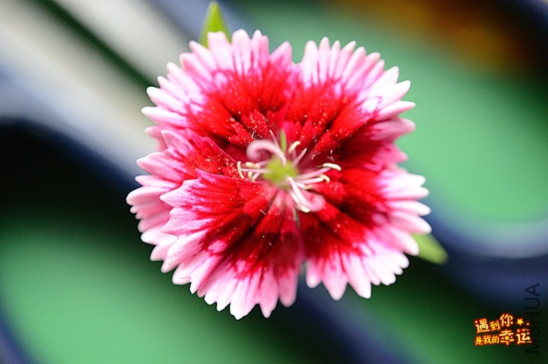 ��Ƭ 033_����.jpg