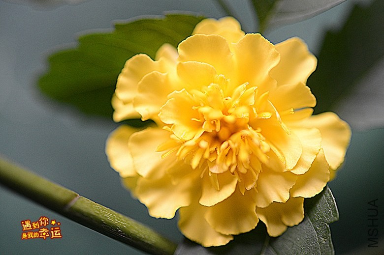 ��Ƭ 034_����.jpg