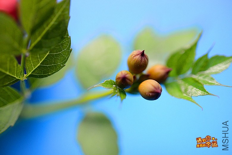 ��Ƭ 037_����.jpg