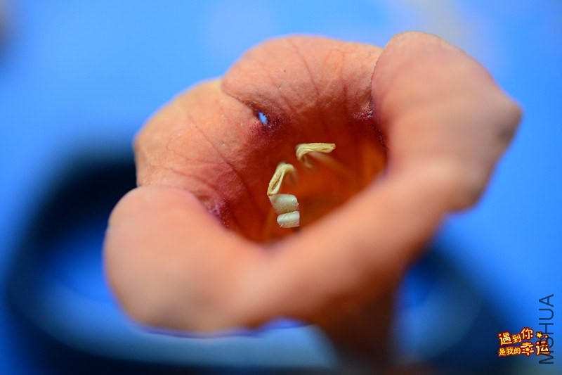 ��Ƭ 038_����.jpg