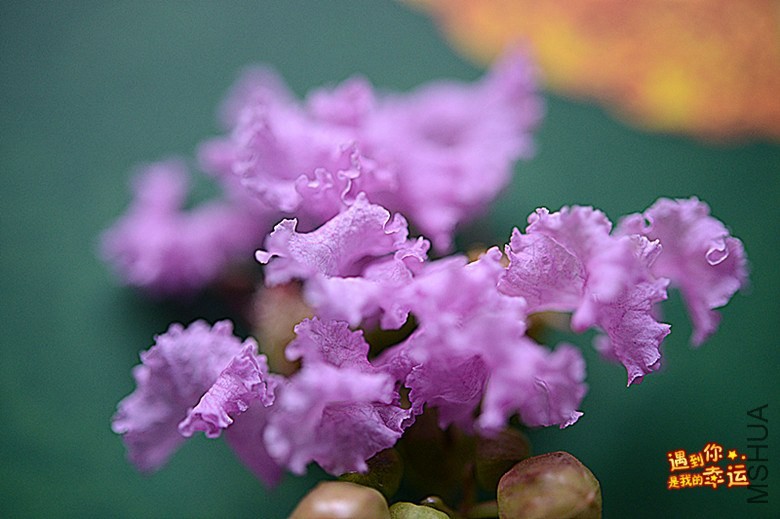 ��Ƭ 042_����.jpg