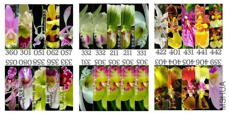 003  3��Ч��ͼ.