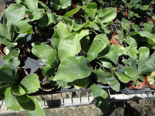 ����˵����¹���ܹ��»�ȥ���ʼ�һ��