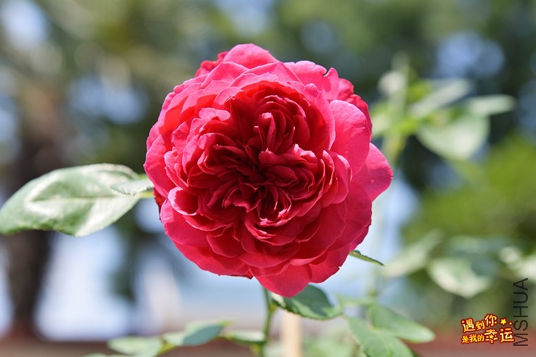 ��Ƭ 058_����.jpg