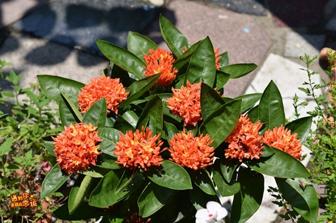 ��Ƭ 048_����.jpg