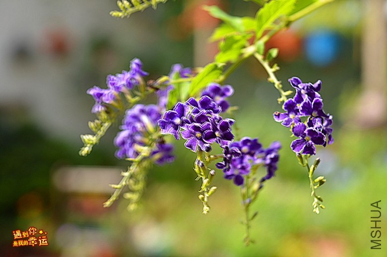 ��Ƭ 063_����.jpg