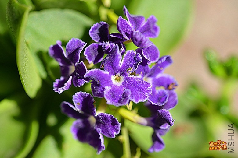 ��Ƭ 064_����.jpg