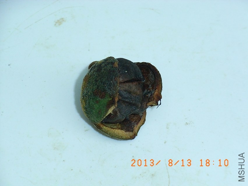 R9255257-1.JPG