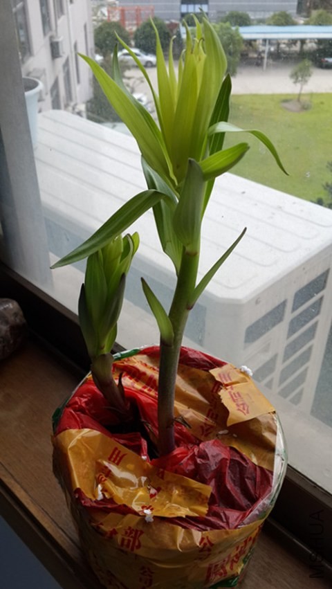 20130814_092929.jpg