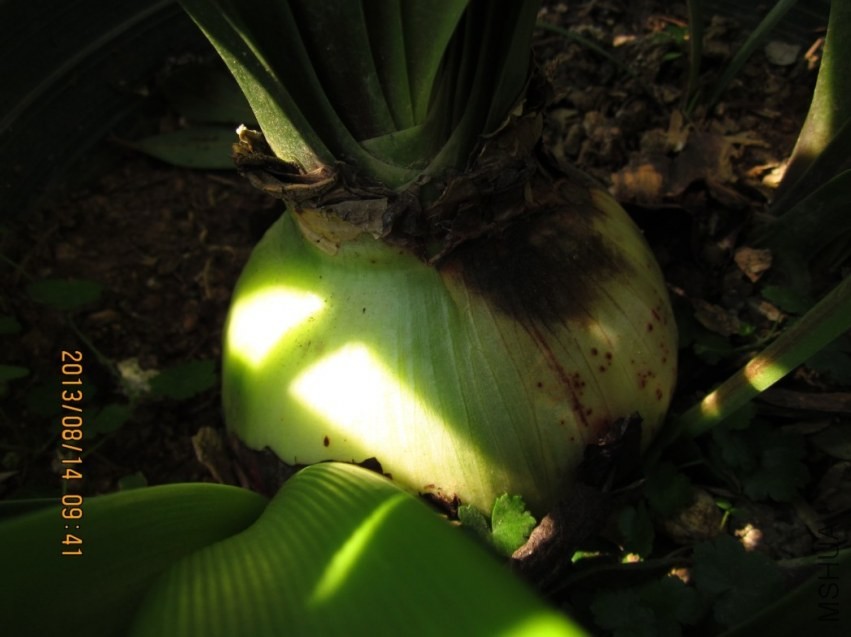 QQͼƬ20130814095650.jpg