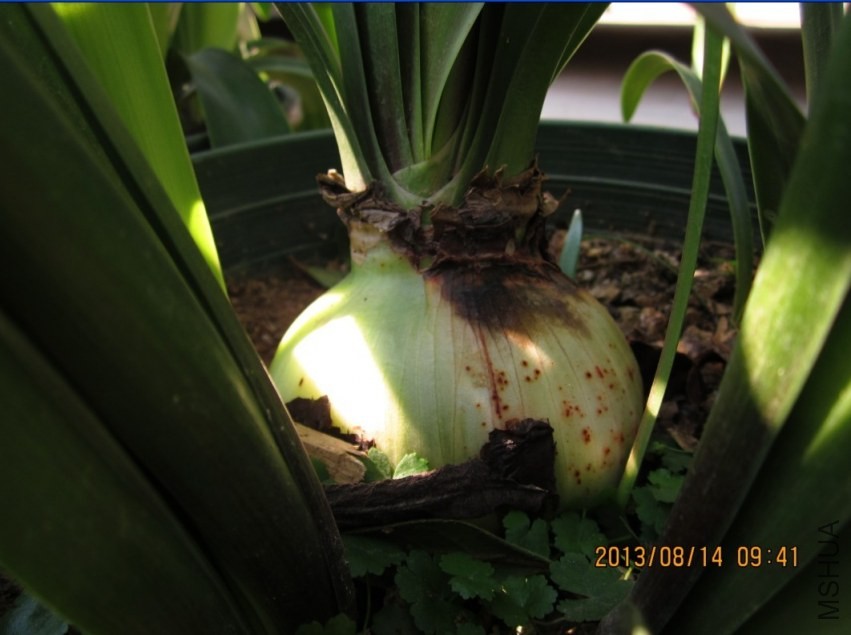 QQͼƬ20130814095732.jpg