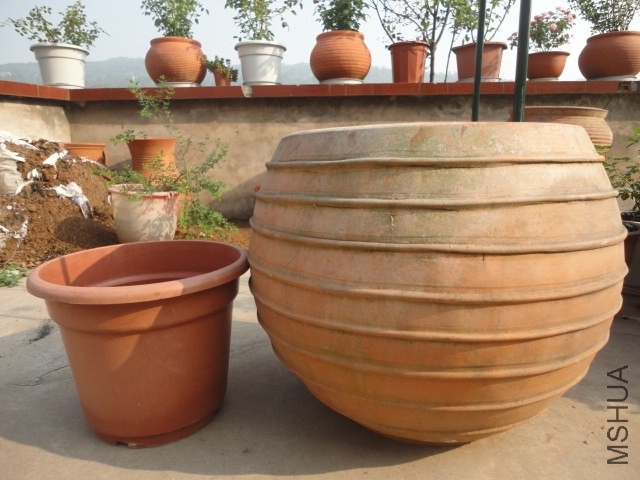 DSC04629.JPG