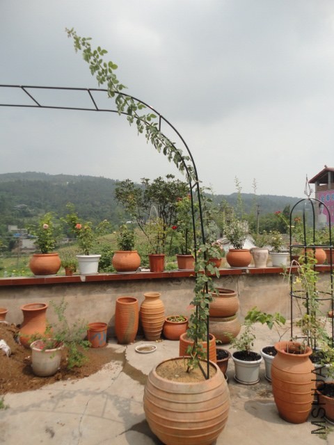 DSC04633.JPG