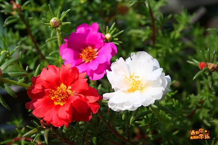 ��Ƭ 002_����.jpg