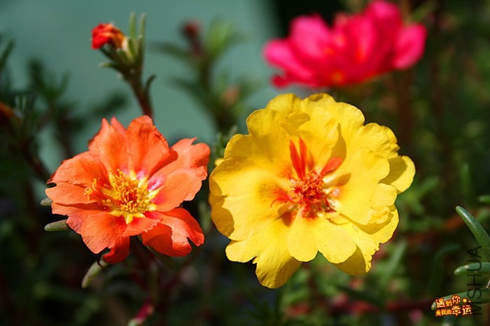 ��Ƭ 004_����.jpg