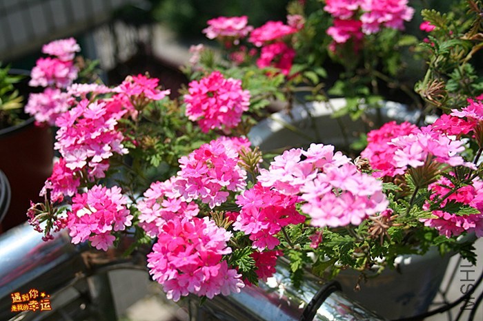 ��Ƭ 048_����.jpg