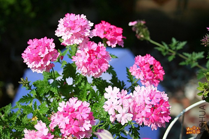 ��Ƭ 049_����.jpg