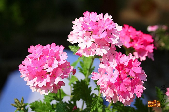 ��Ƭ 051_����.jpg