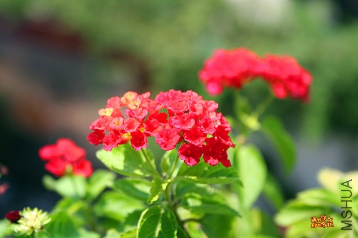 ��Ƭ 056_����.jpg