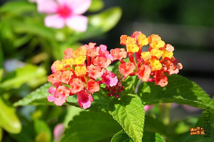 ��Ƭ 057_����.jpg