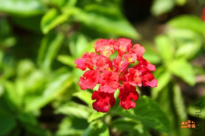 ��Ƭ 058_����.jpg