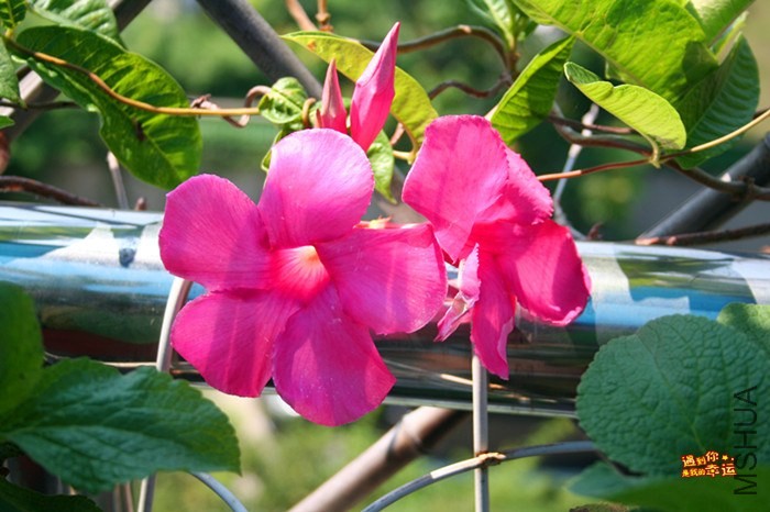 ��Ƭ 053_����.jpg