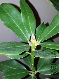 IMG20130814220540.jpg