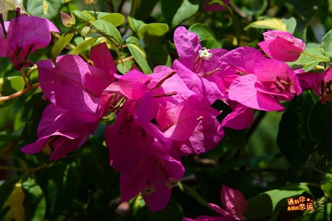 ��Ƭ 097_����.jpg