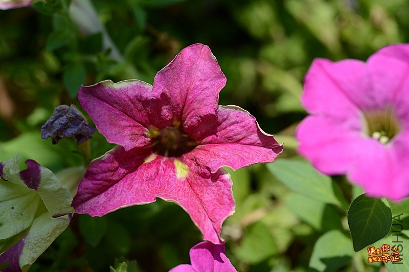 ��Ƭ 064b_����.jpg