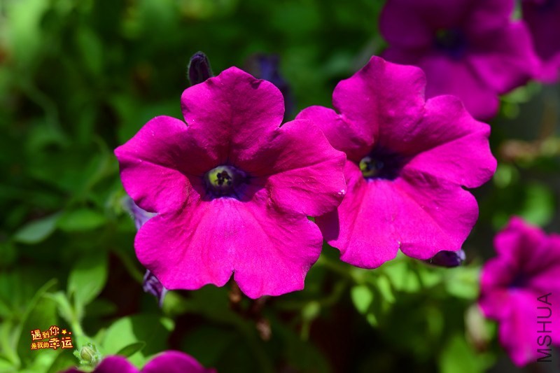 ��Ƭ 064c_����.jpg