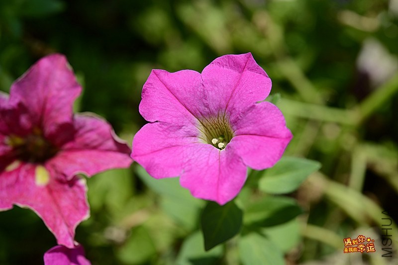 ��Ƭ 064d_����.jpg