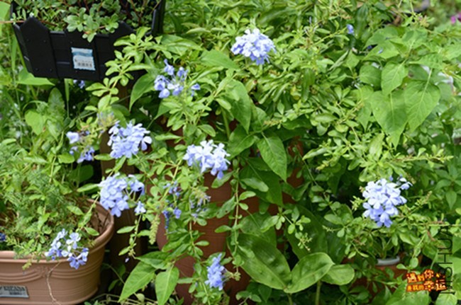 ��Ƭ 013_����.jpg