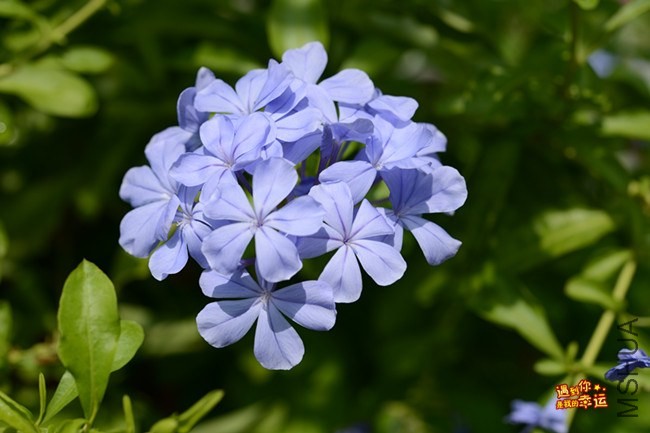 ��Ƭ 015_����.jpg