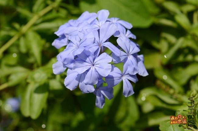 ��Ƭ 016_����.jpg