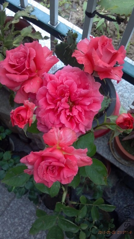 psb (9).jpg