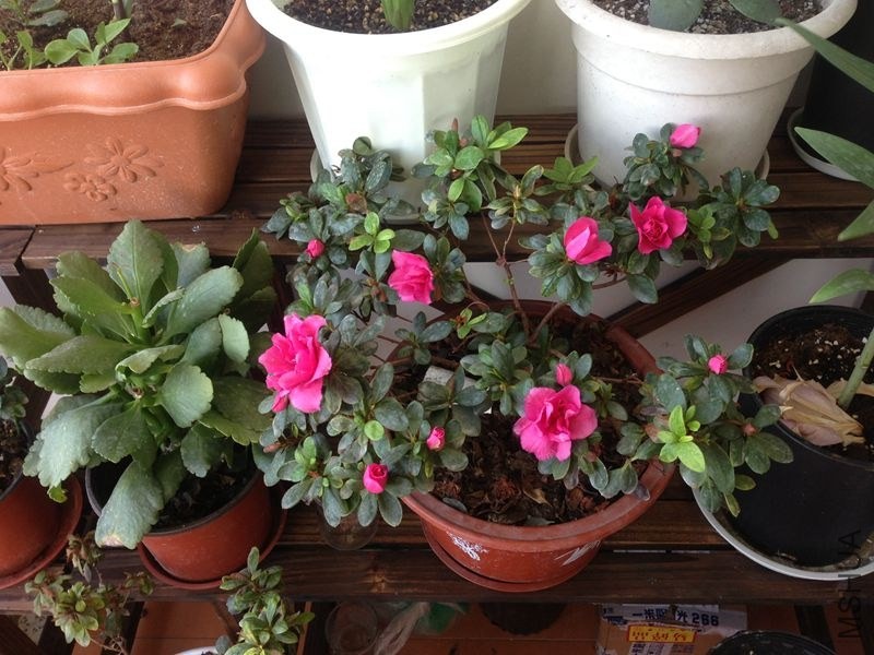 �տ�ʼ����ʱ�����콽ˮ�����Է������úܺã���ʼ�л��俪��